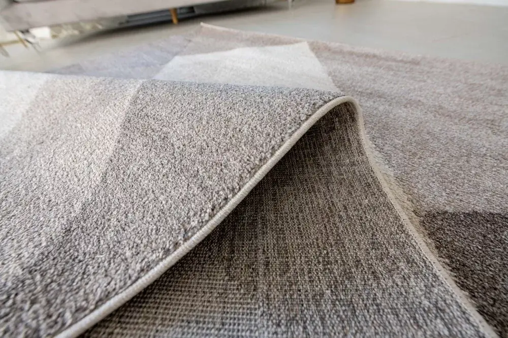 Vékony Bézs Promo Szőnyeg 1253 - Image 2