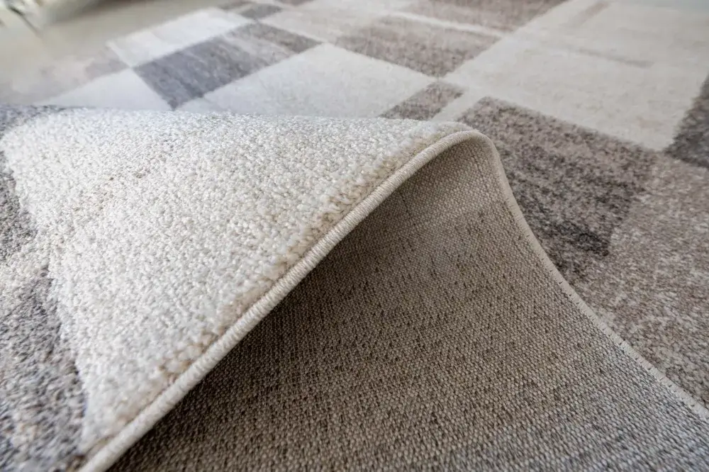 Vékony Bézs Promo Szőnyeg 5107 - Image 2